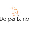 Dorper
