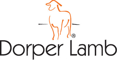 Dorper